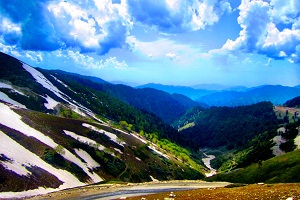 Sinthan Top
