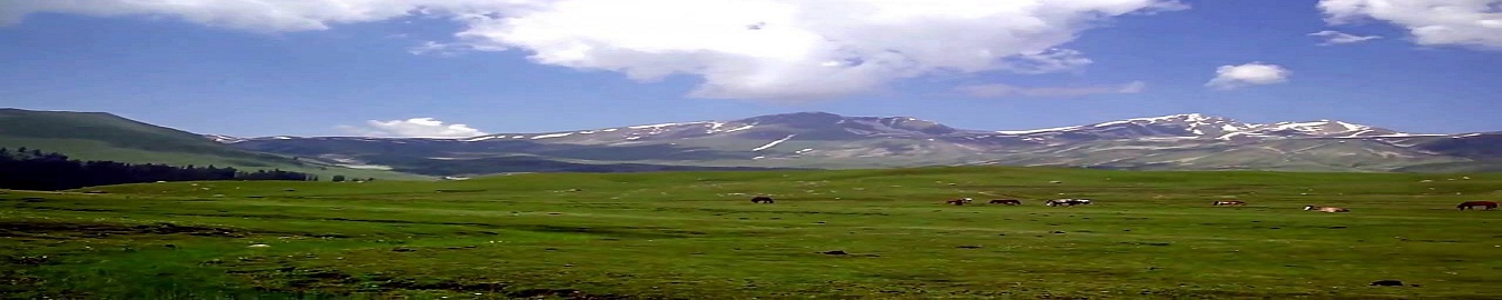 Tosamaidan
