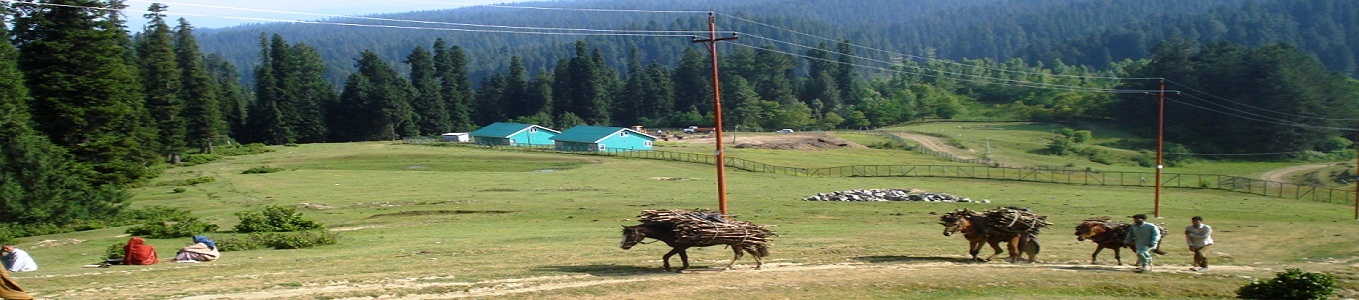 Yusmarg