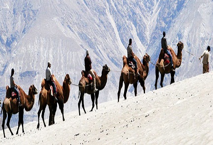 Trans Himalyan Safari Tour